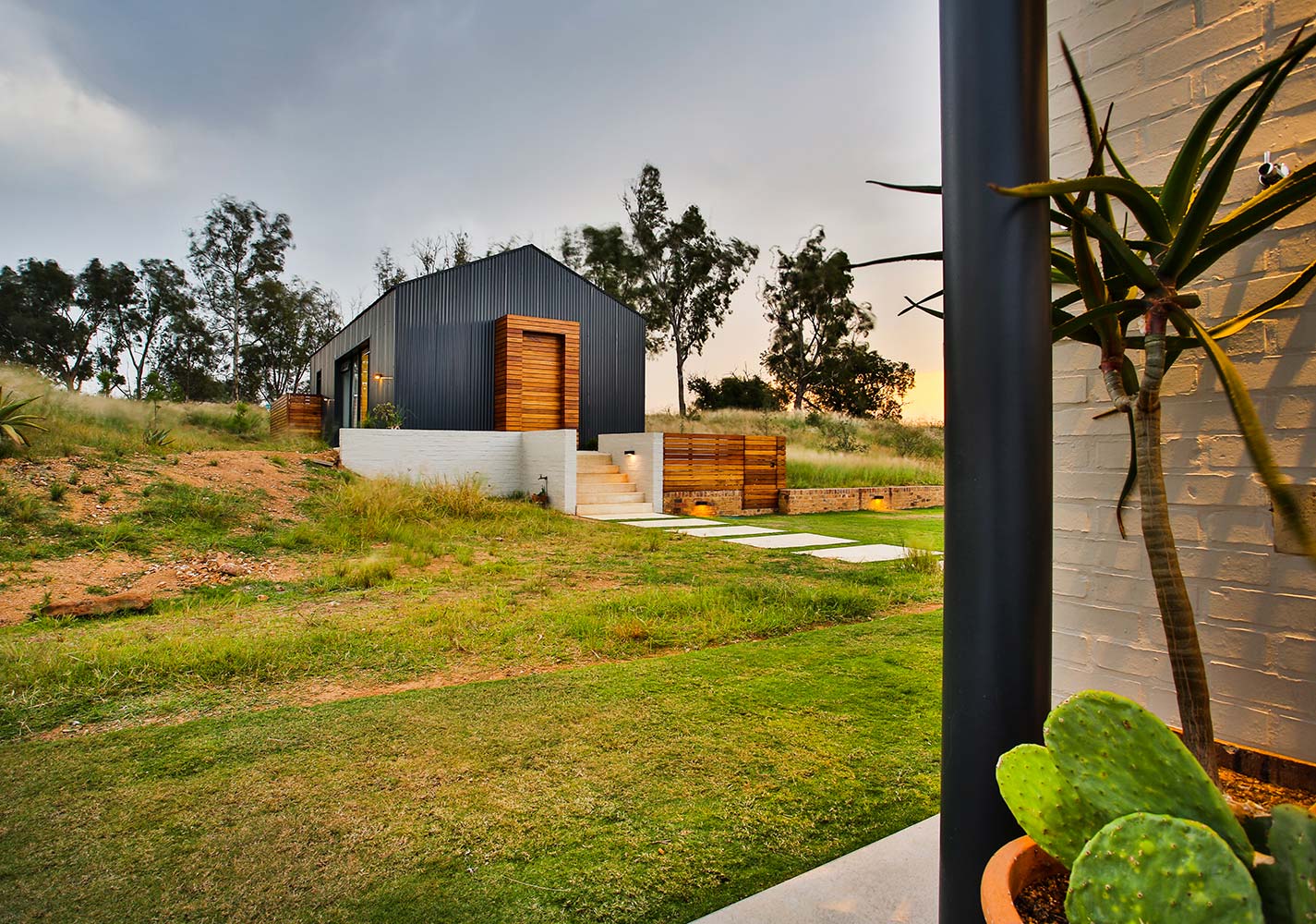 veld-architects-house-on-a-hill-254