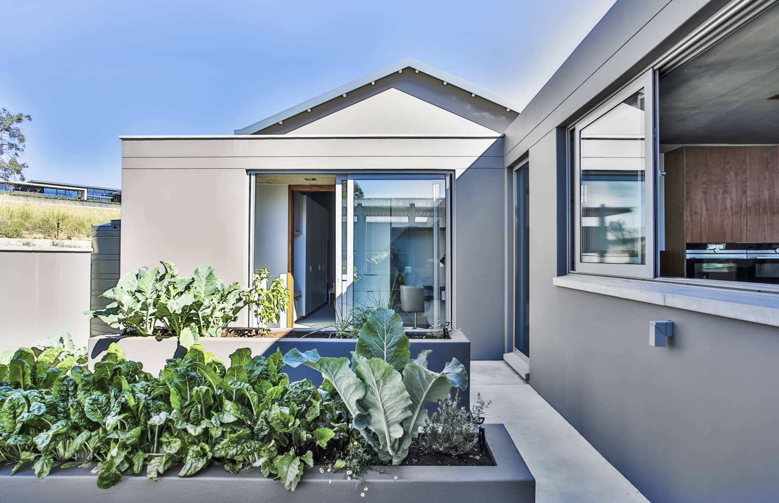 Veld Architects - Modern Established Farmhouse45