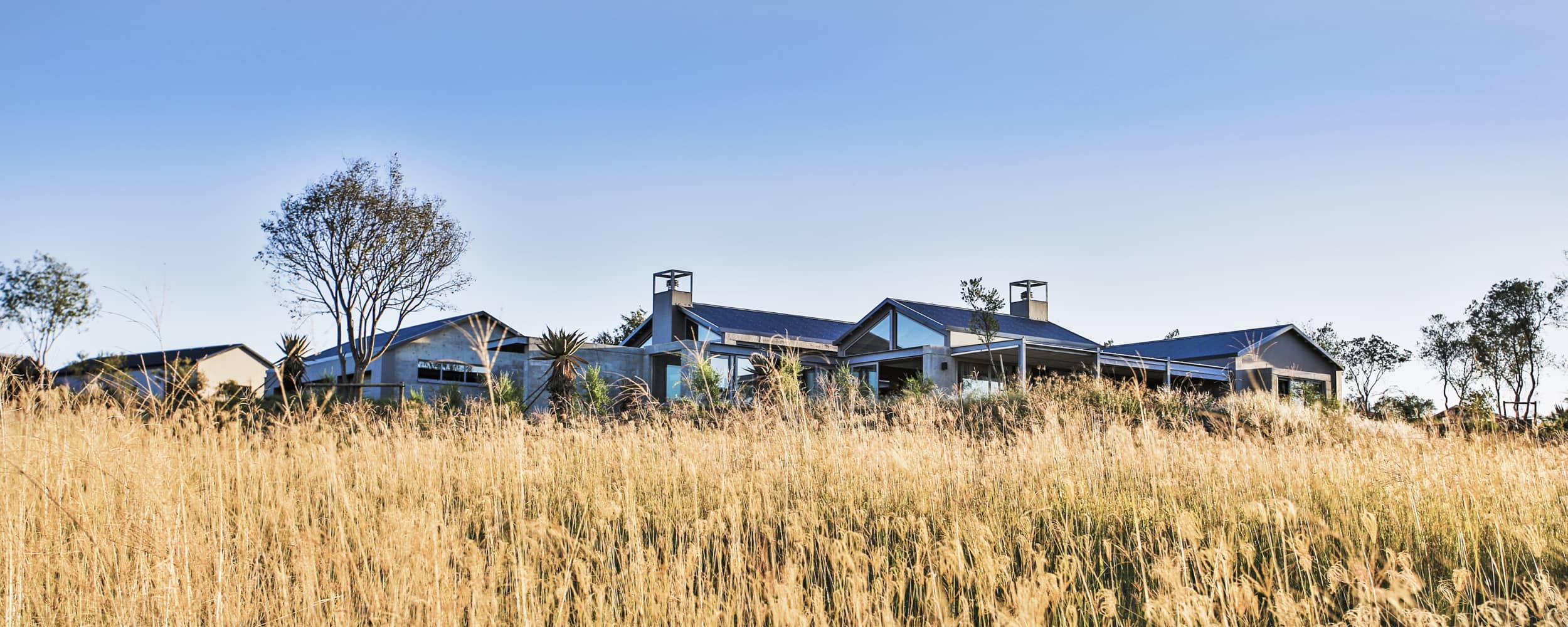 Veld Architects - Modern Established Farmhouse51