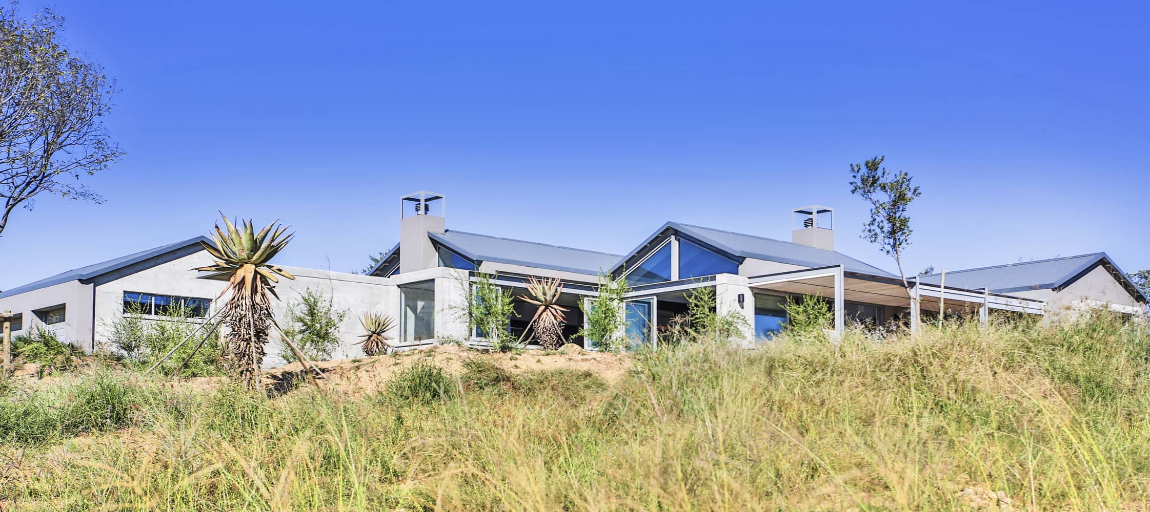 Veld Architects - Modern Established Farmhouse57