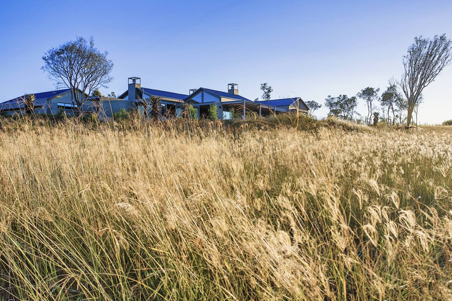 Veld Architects - Modern Established Farmhouse66