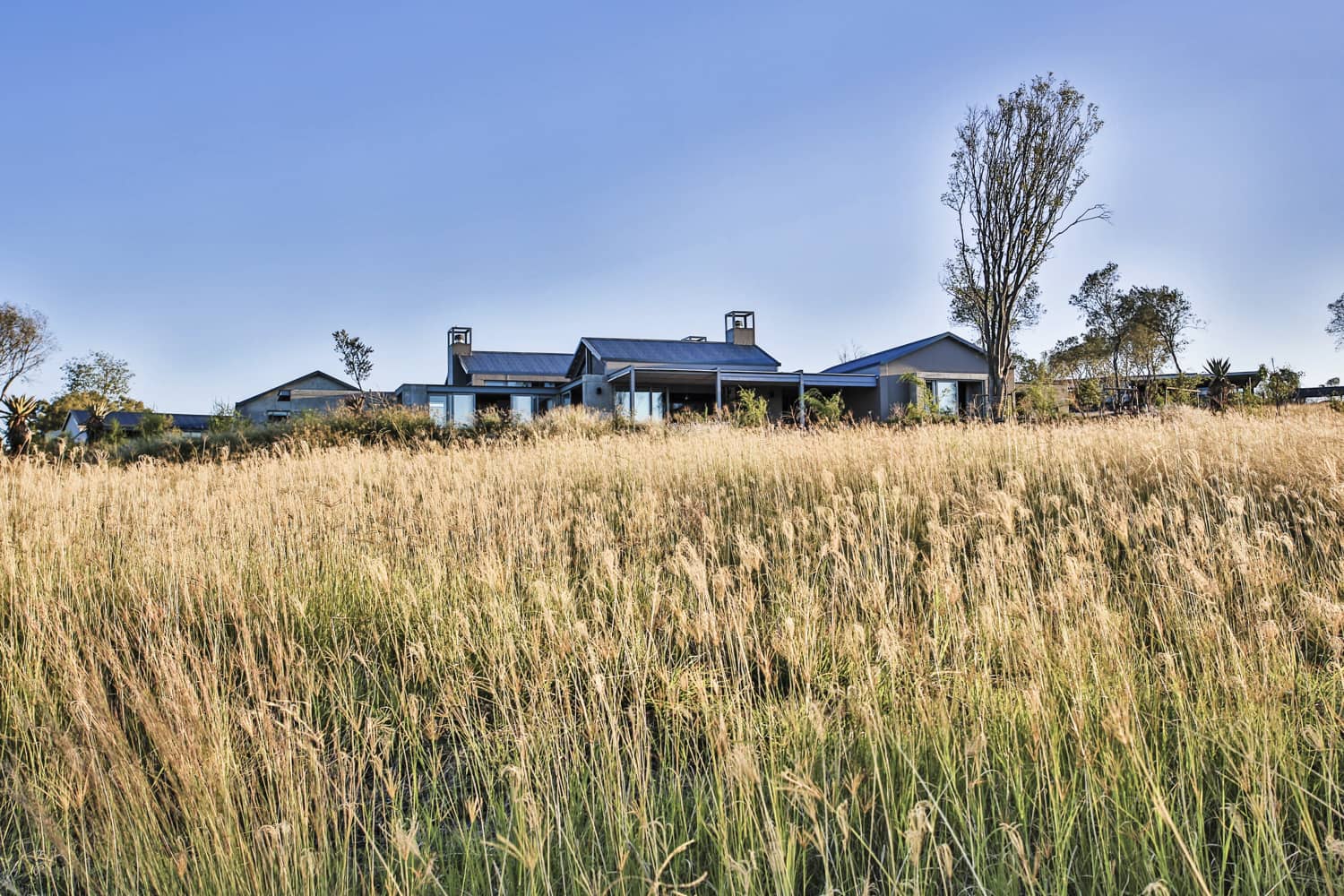 Veld Architects - Modern Established Farmhouse68