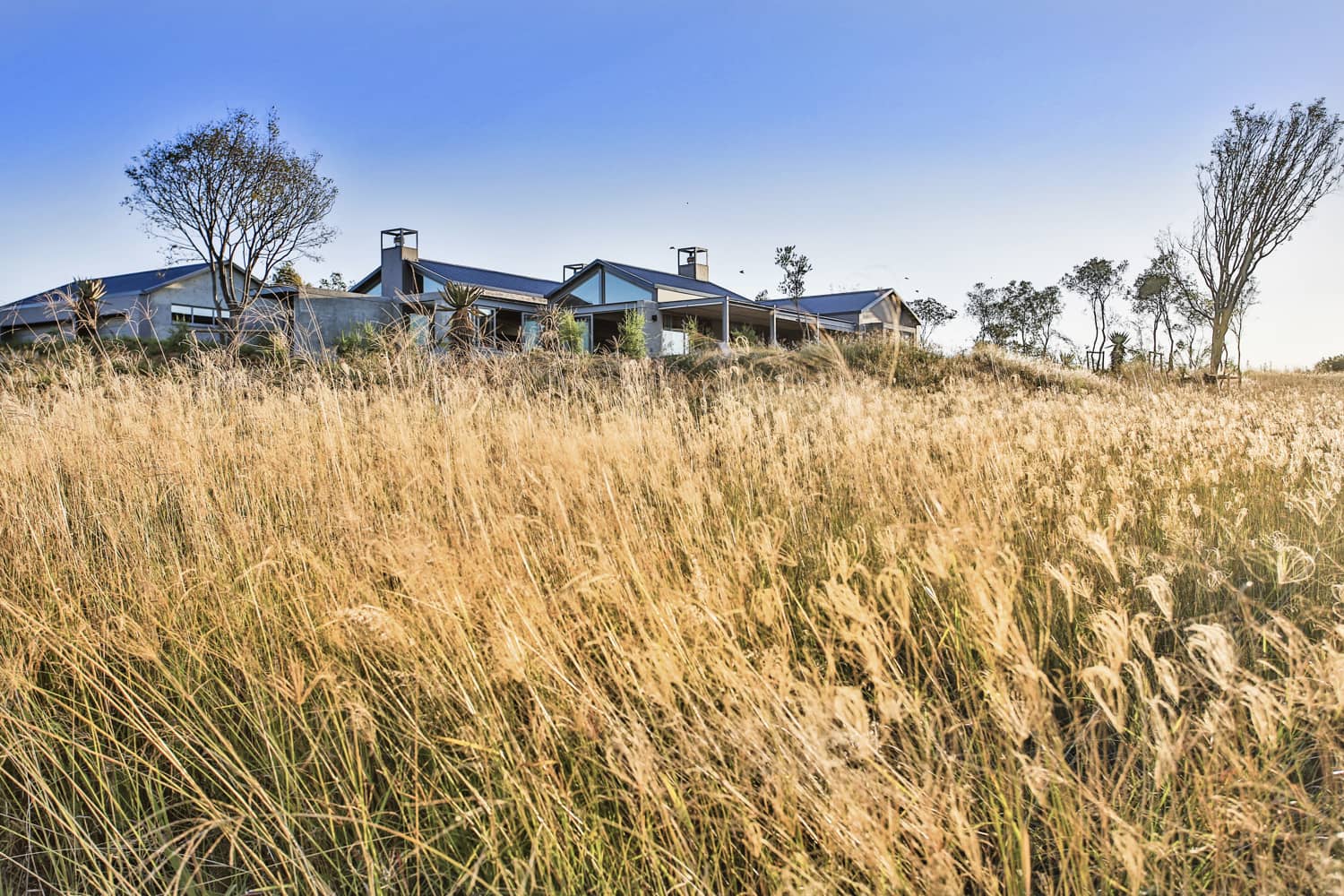 Veld Architects - Modern Established Farmhouse70