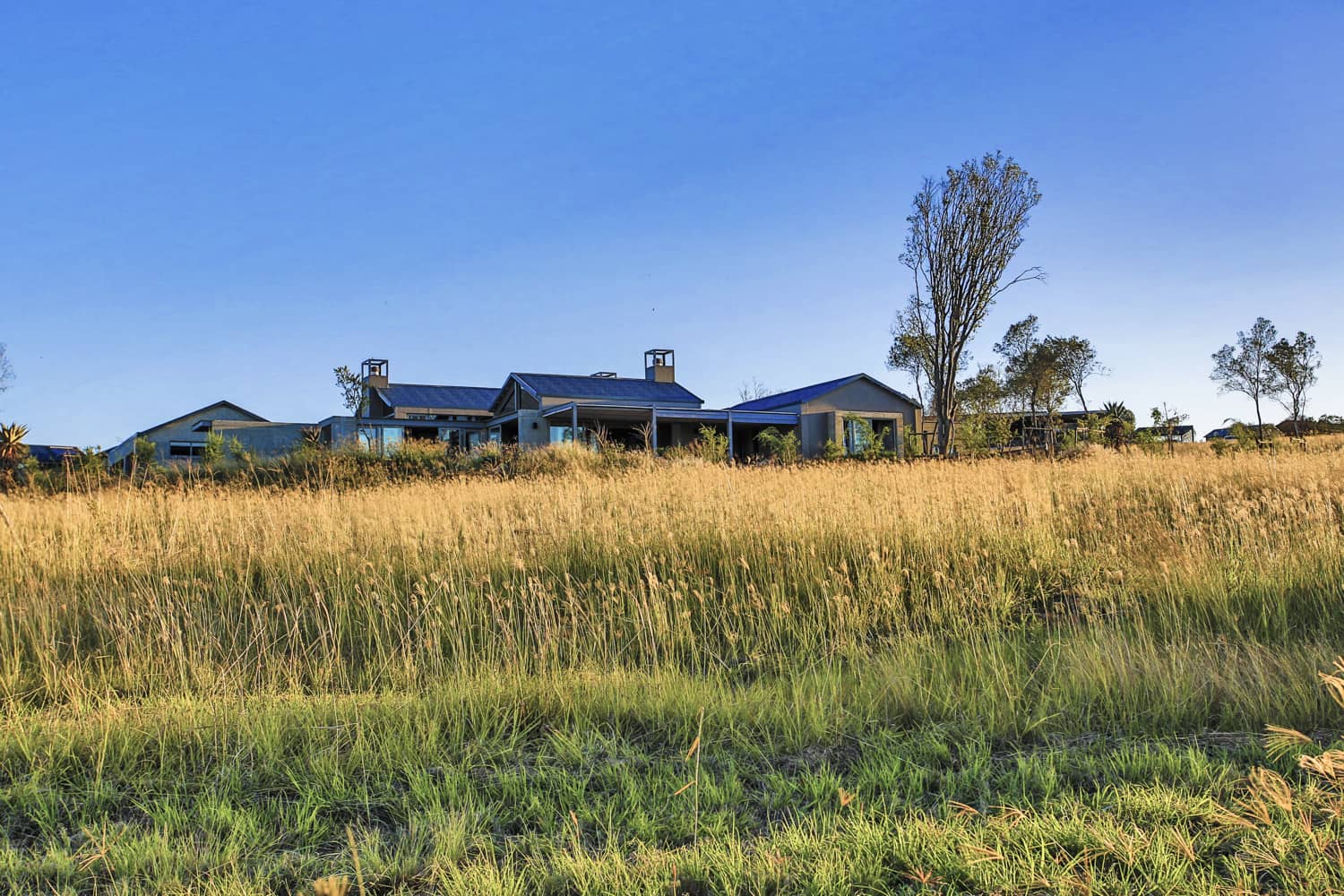 Veld Architects - Modern Established Farmhouse74