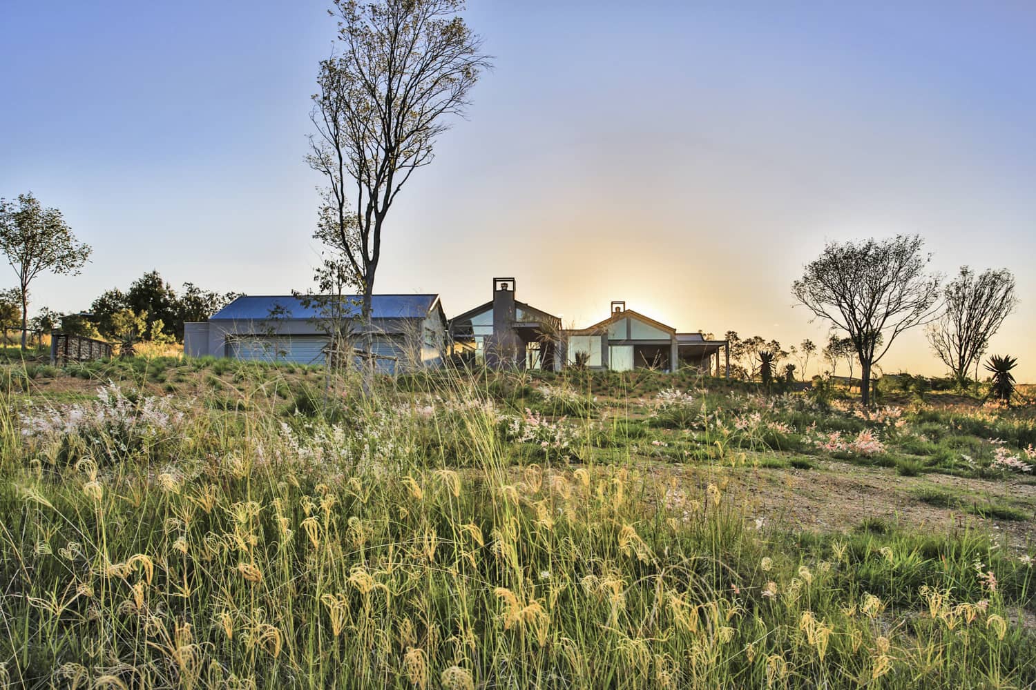 Veld Architects - Modern Established Farmhouse76