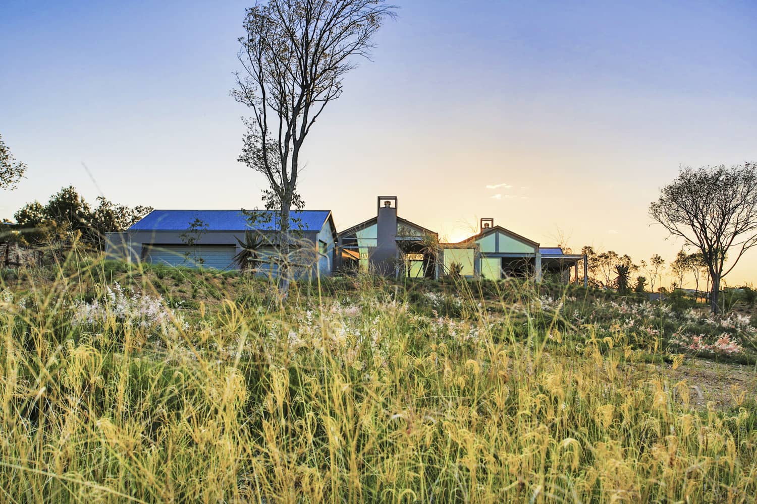 Veld Architects - Modern Established Farmhouse80