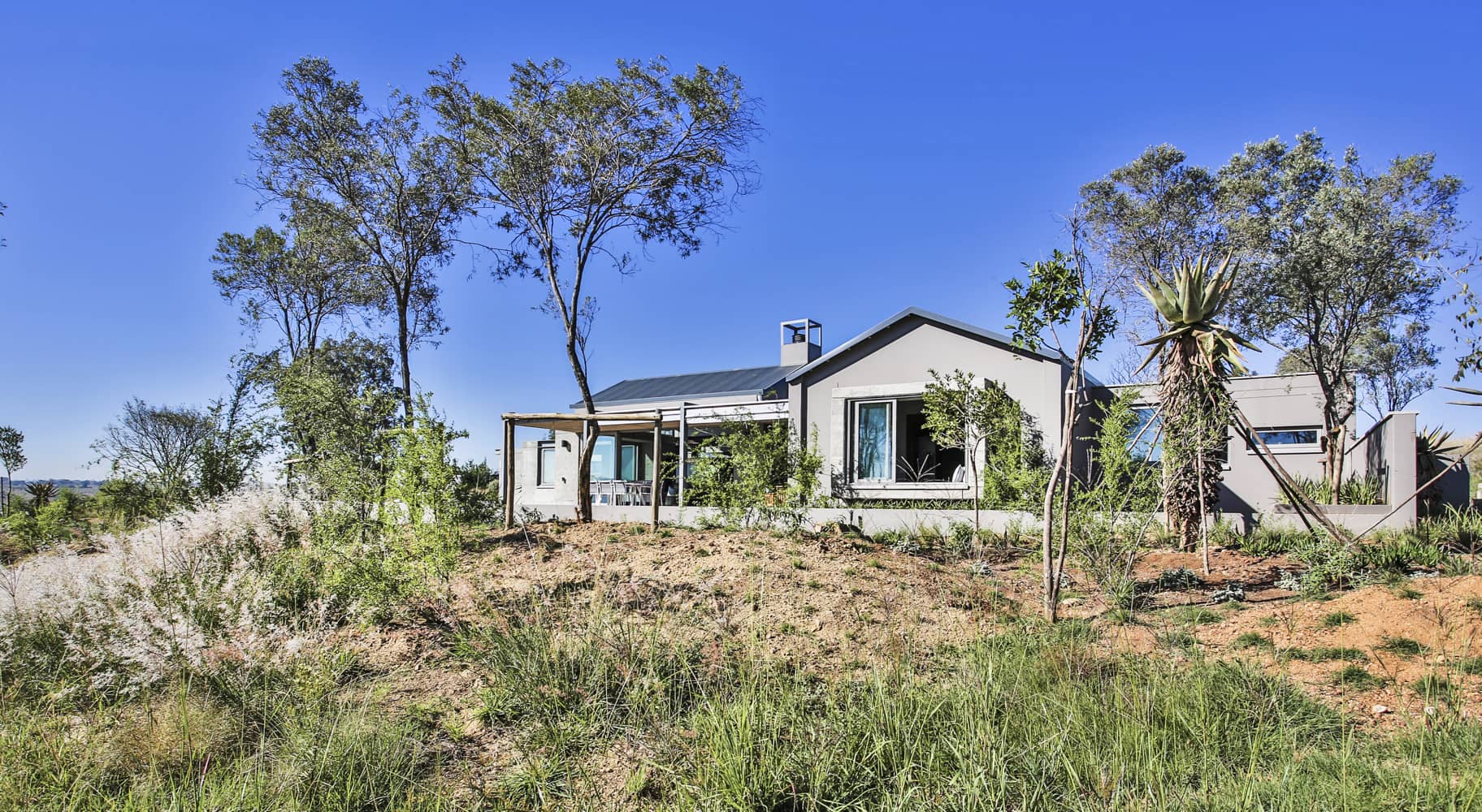 Veld Architects - Modern Established Farmhouse85