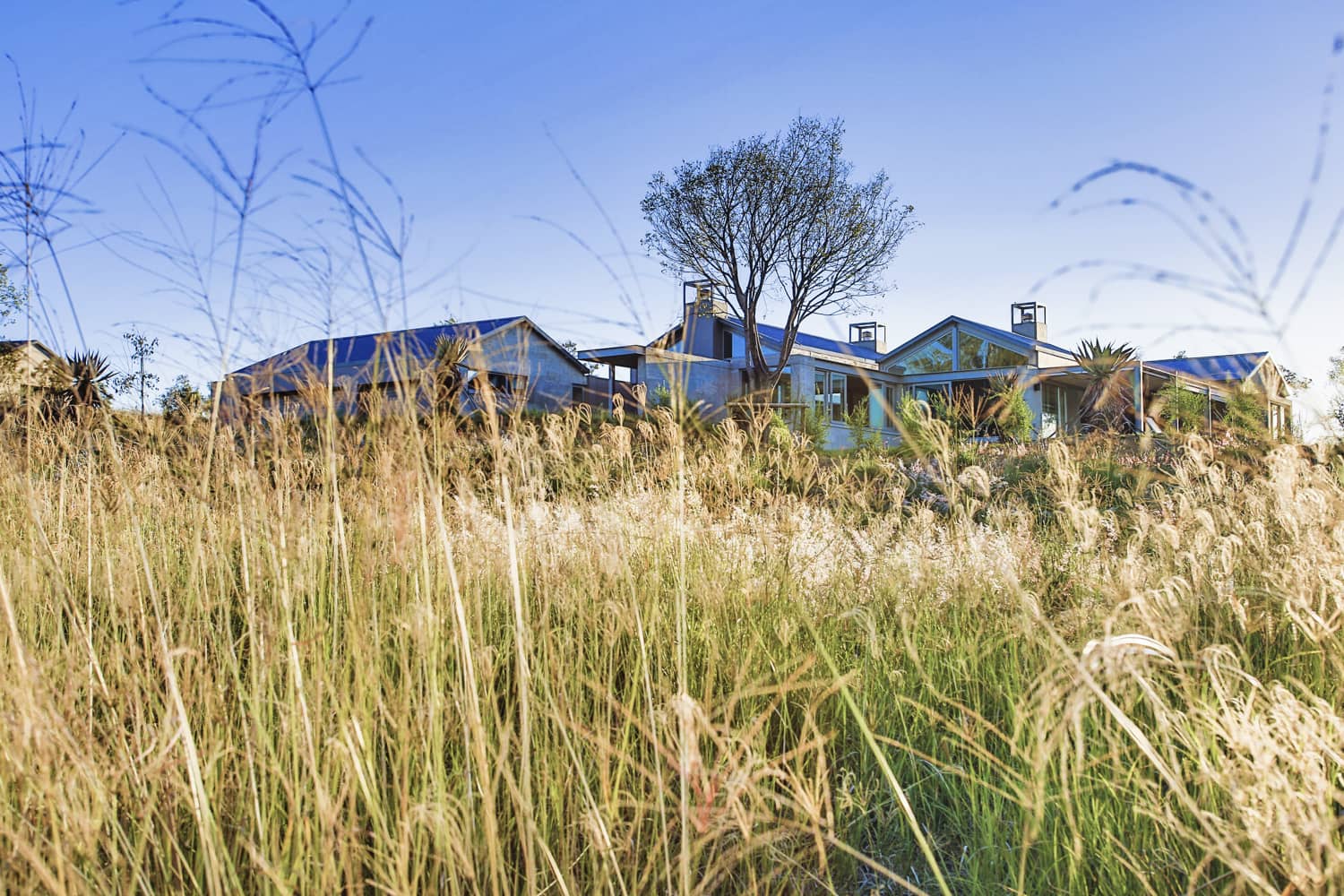 Veld Architects - Modern Established Farmhouse86