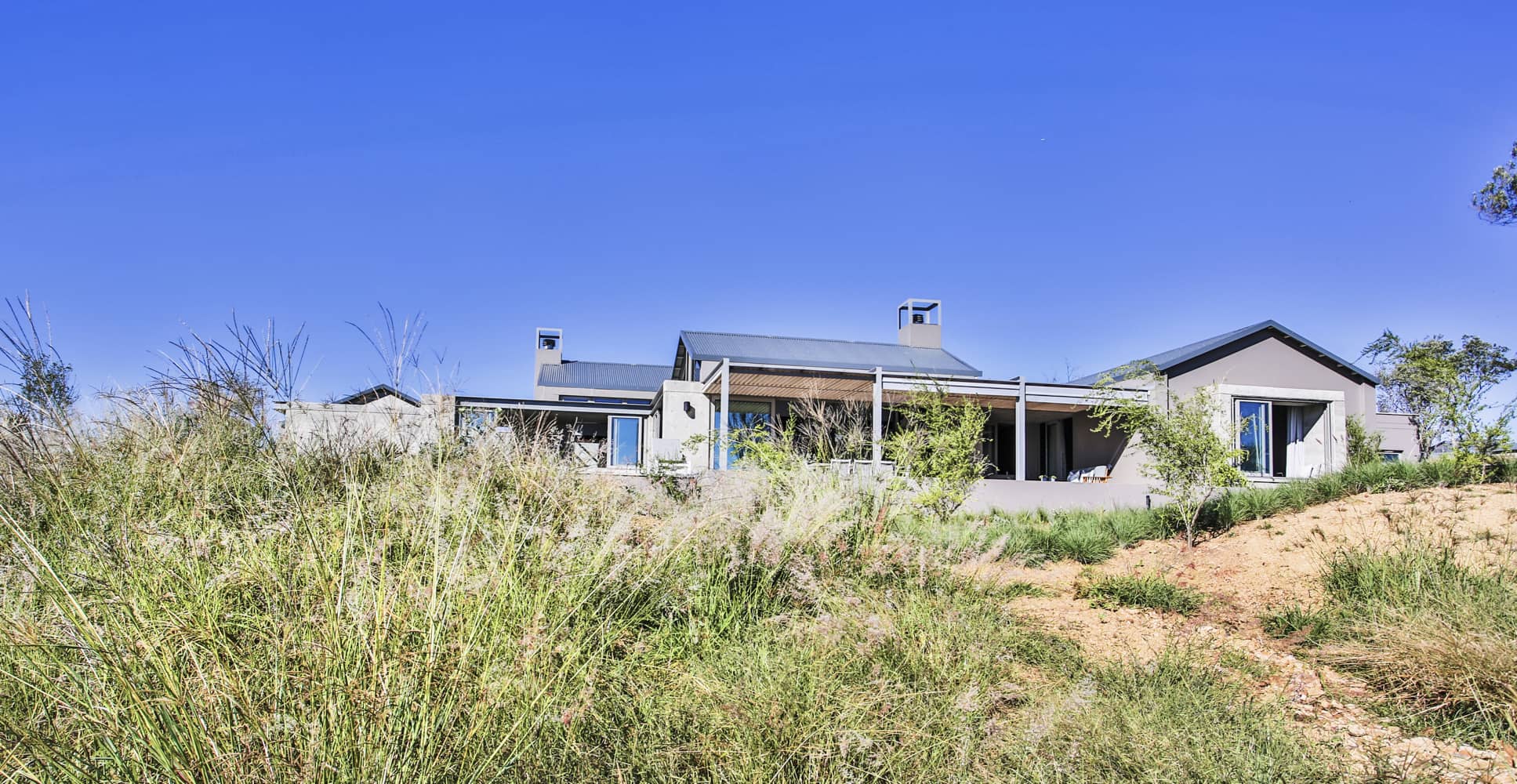 Veld Architects - Modern Established Farmhouse99